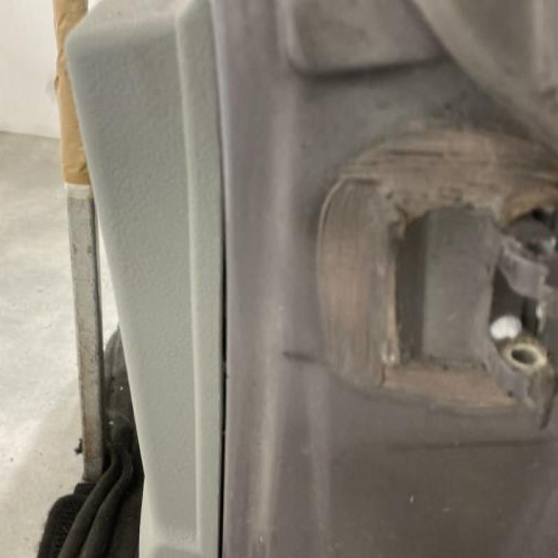 Porte avant gauche RENAULT SCENIC 1 Photo n°4