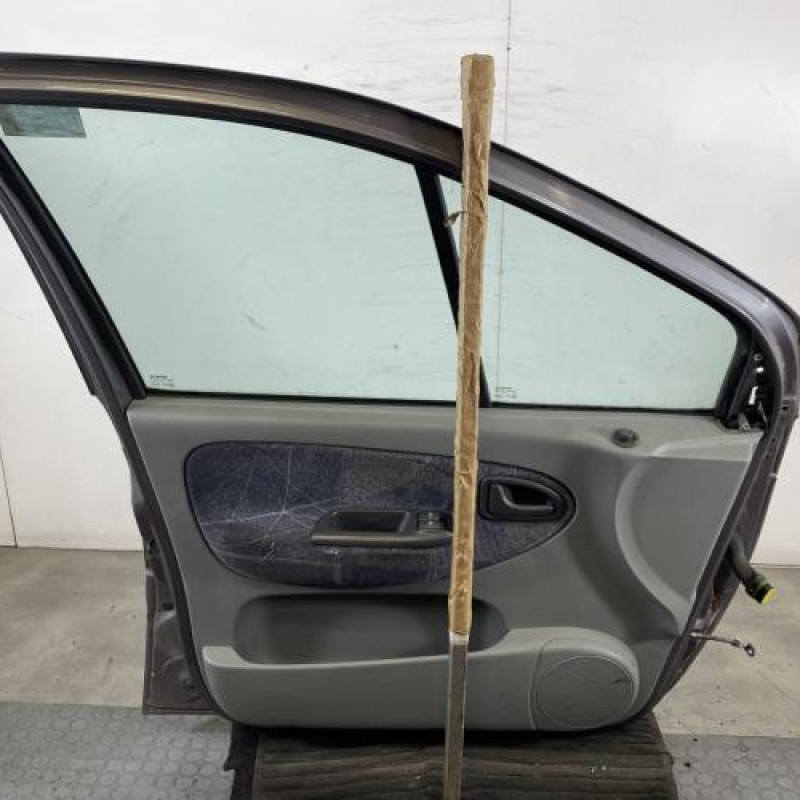 Porte avant gauche RENAULT SCENIC 1 Photo n°6