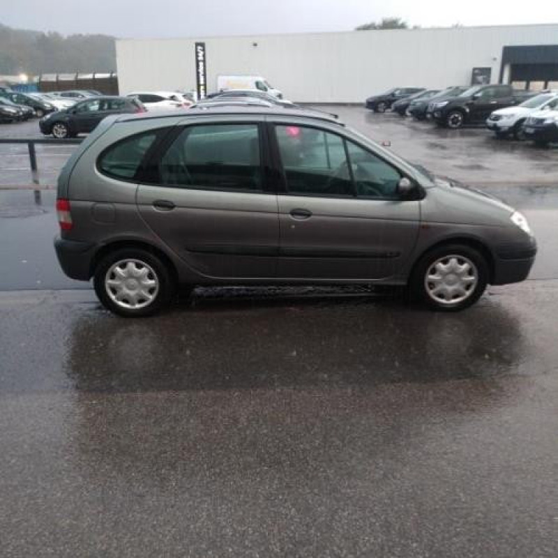 Porte avant gauche RENAULT SCENIC 1 Photo n°8