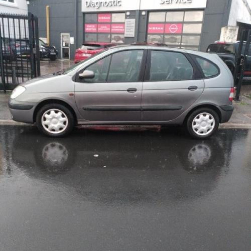 Porte avant gauche RENAULT SCENIC 1 Photo n°9
