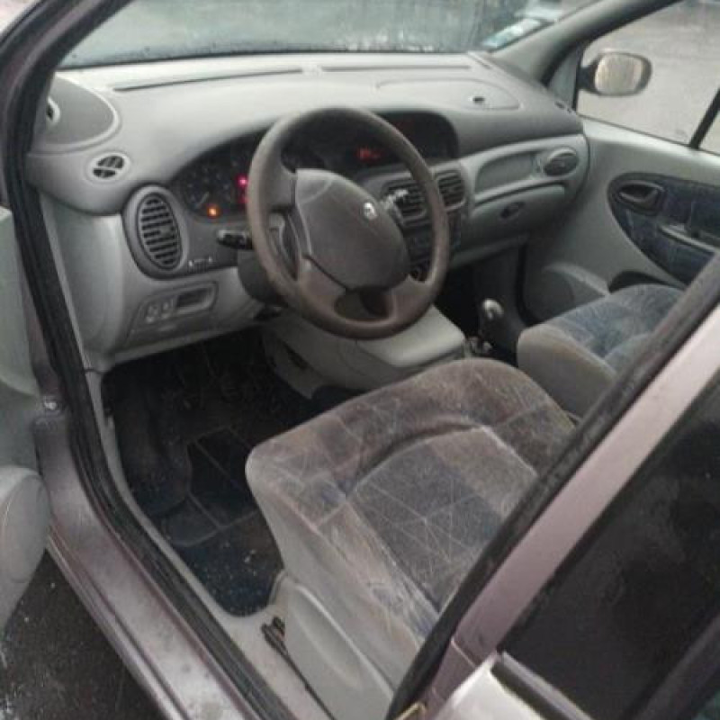 Porte avant gauche RENAULT SCENIC 1 Photo n°10