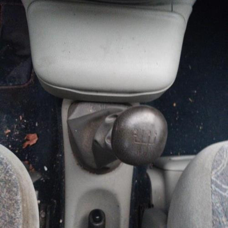 Porte avant gauche RENAULT SCENIC 1 Photo n°11