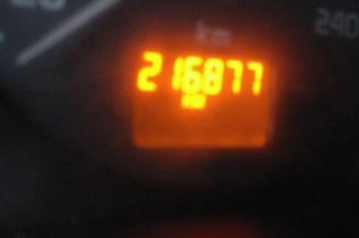 Porte avant gauche RENAULT SCENIC 1