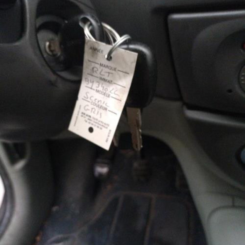 Porte avant gauche RENAULT SCENIC 1 Photo n°14