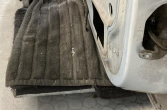 Porte arriere gauche RENAULT MEGANE 1