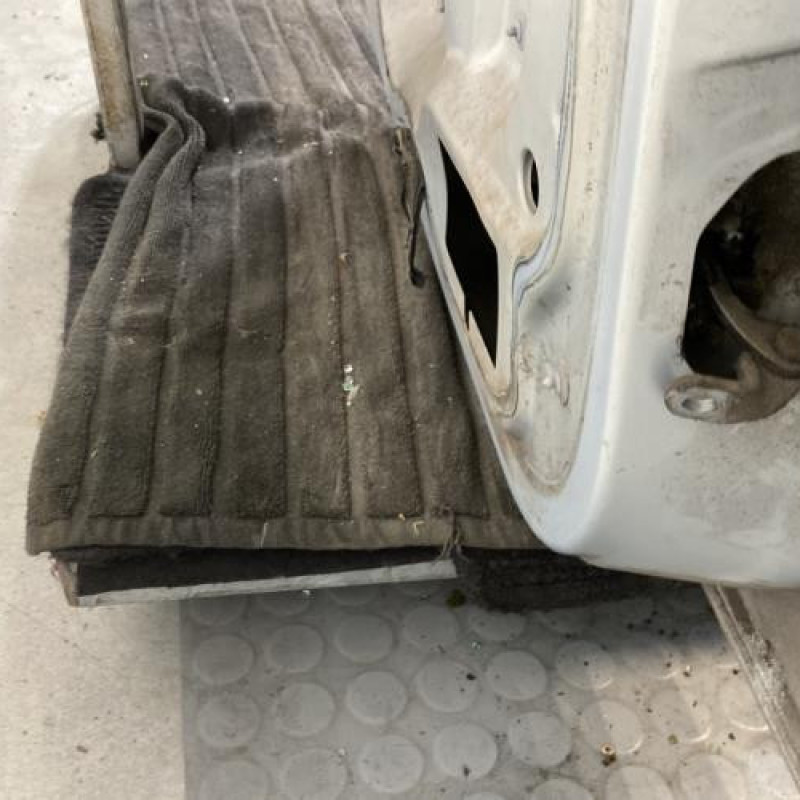 Porte arriere gauche RENAULT MEGANE 1 Photo n°4