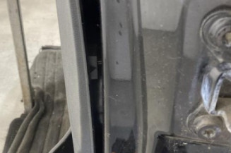 Porte avant gauche SKODA FABIA 2