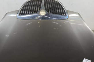 Capot LANCIA MUSA Photo n°1