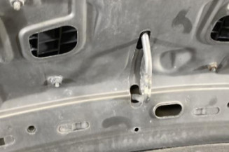 Capot LANCIA MUSA