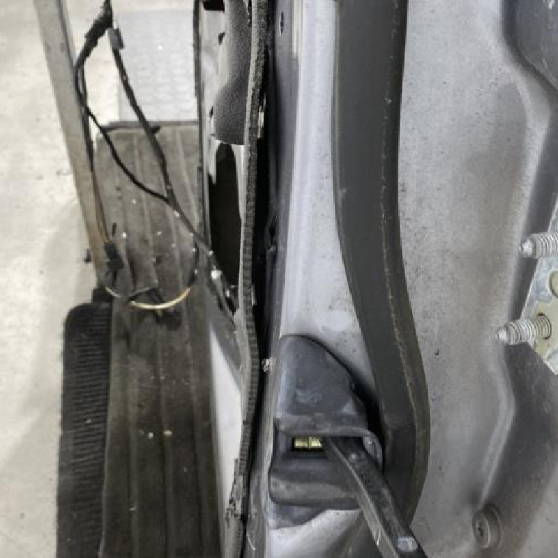 Porte arriere gauche BMW SERIE 3 E46 Photo n°4