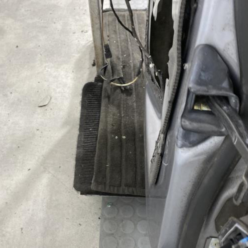 Porte arriere gauche BMW SERIE 3 E46 Photo n°5