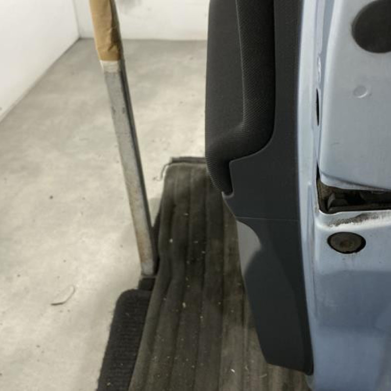 Porte arriere droit SKODA ROOMSTER Photo n°3