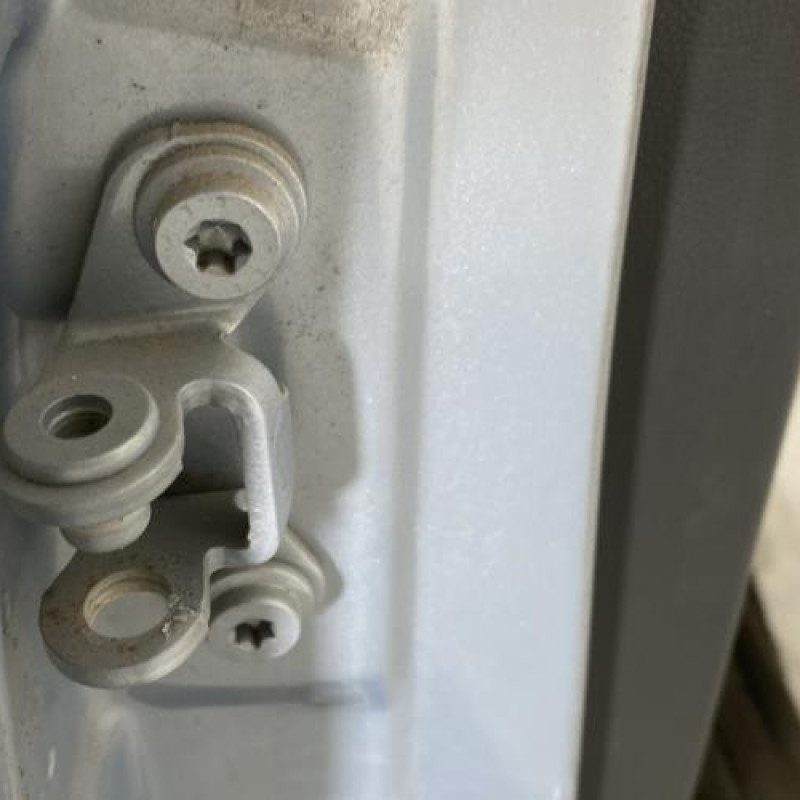 Porte arriere droit SKODA ROOMSTER Photo n°4