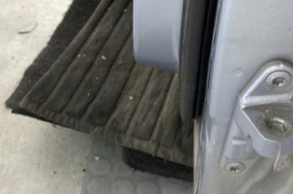 Porte avant gauche MERCEDES CLASSE B 245