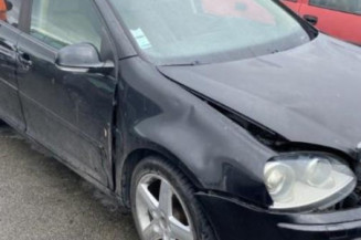Custode arriere gauche (porte) VOLKSWAGEN GOLF 5