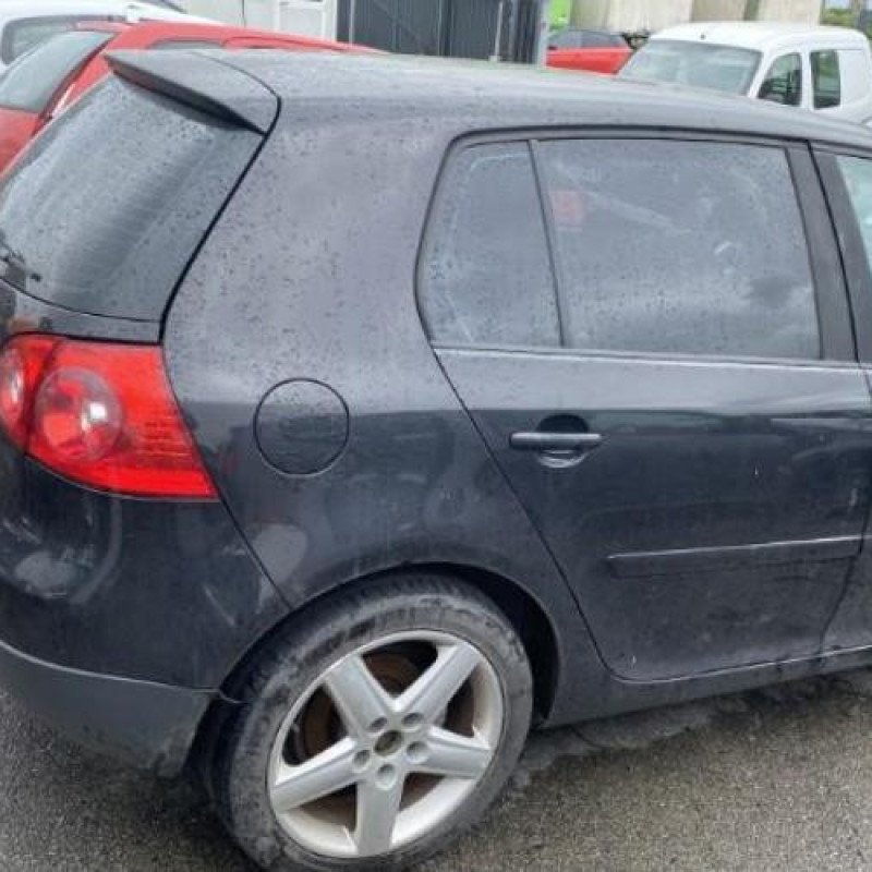 Custode arriere gauche (porte) VOLKSWAGEN GOLF 5 Photo n°11