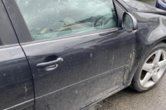 Custode arriere gauche (porte) VOLKSWAGEN GOLF 5