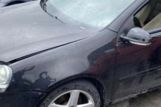 Custode arriere gauche (porte) VOLKSWAGEN GOLF 5