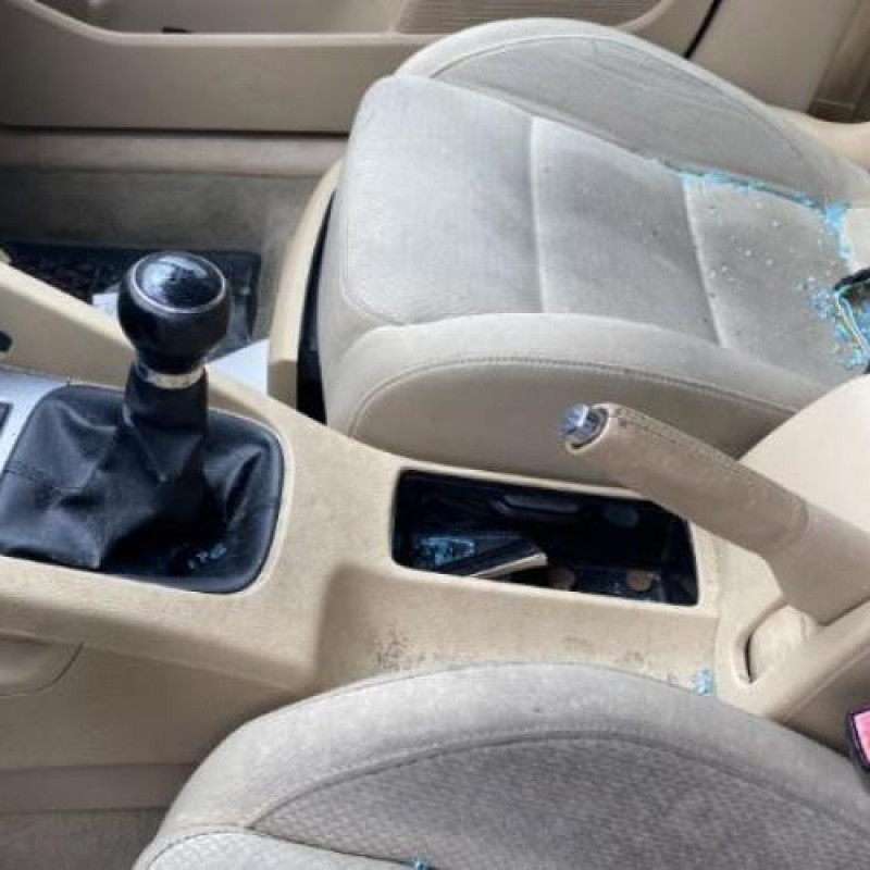Custode arriere gauche (porte) VOLKSWAGEN GOLF 5 Photo n°19