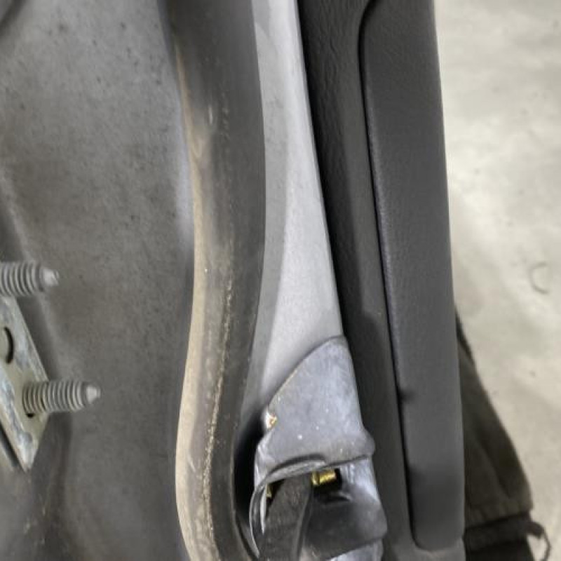 Porte arriere droit BMW SERIE 3 E46 Photo n°4