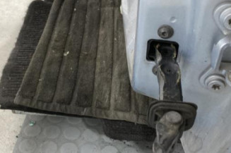 Porte avant gauche SKODA ROOMSTER