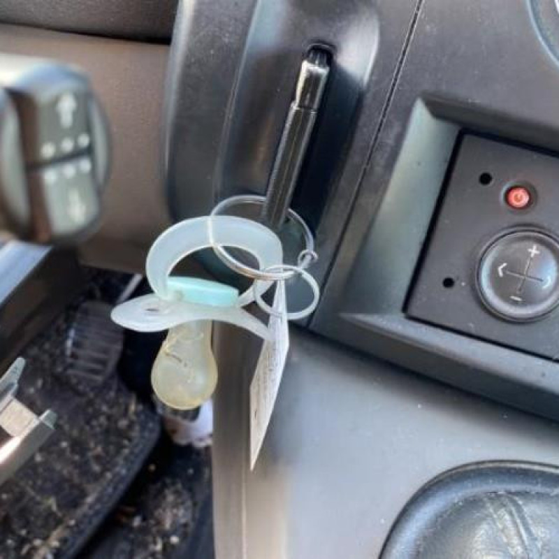 Feu arriere principal gauche (feux) RENAULT SCENIC 2 Photo n°20