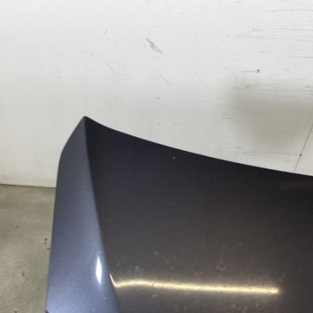 Malle/Hayon arriere RENAULT LATITUDE