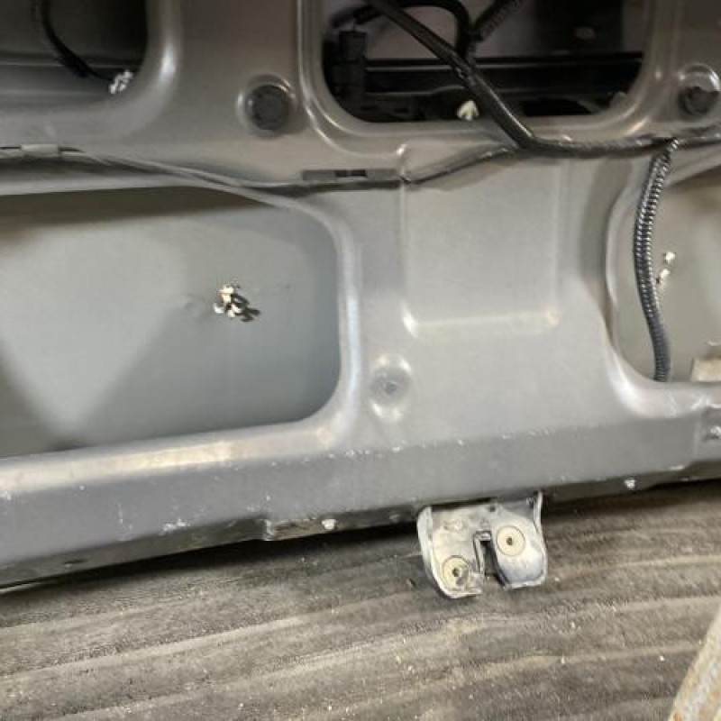 Malle/Hayon arriere RENAULT LATITUDE Photo n°6