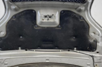 Capot FORD FUSION
