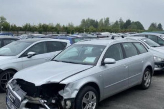Malle/Hayon arriere AUDI A4 2
