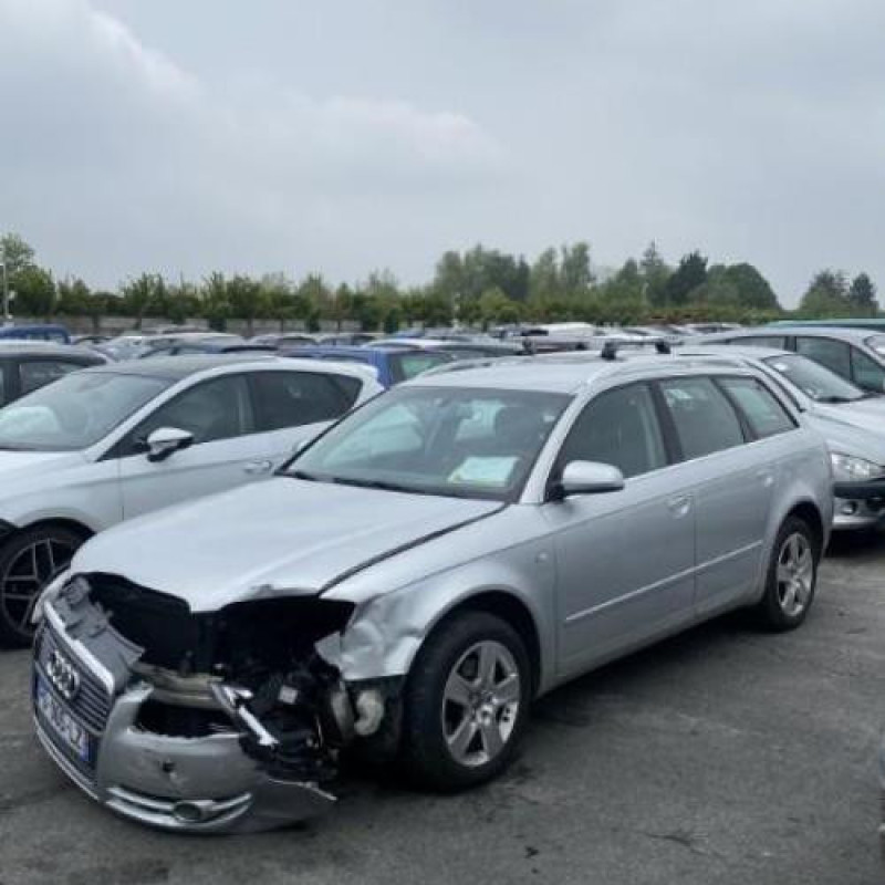 Malle/Hayon arriere AUDI A4 2 Photo n°13