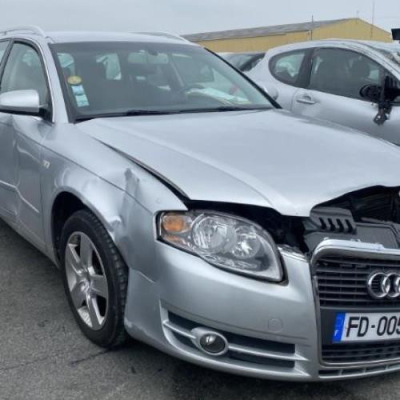 Malle/Hayon arriere AUDI A4 2 Photo n°19