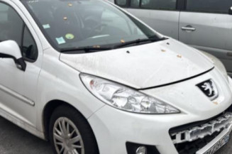 Bouton de warning PEUGEOT 207