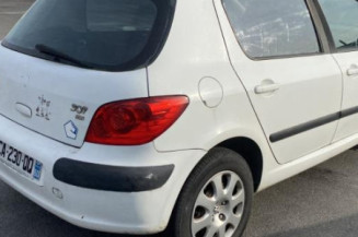 Jante PEUGEOT 307