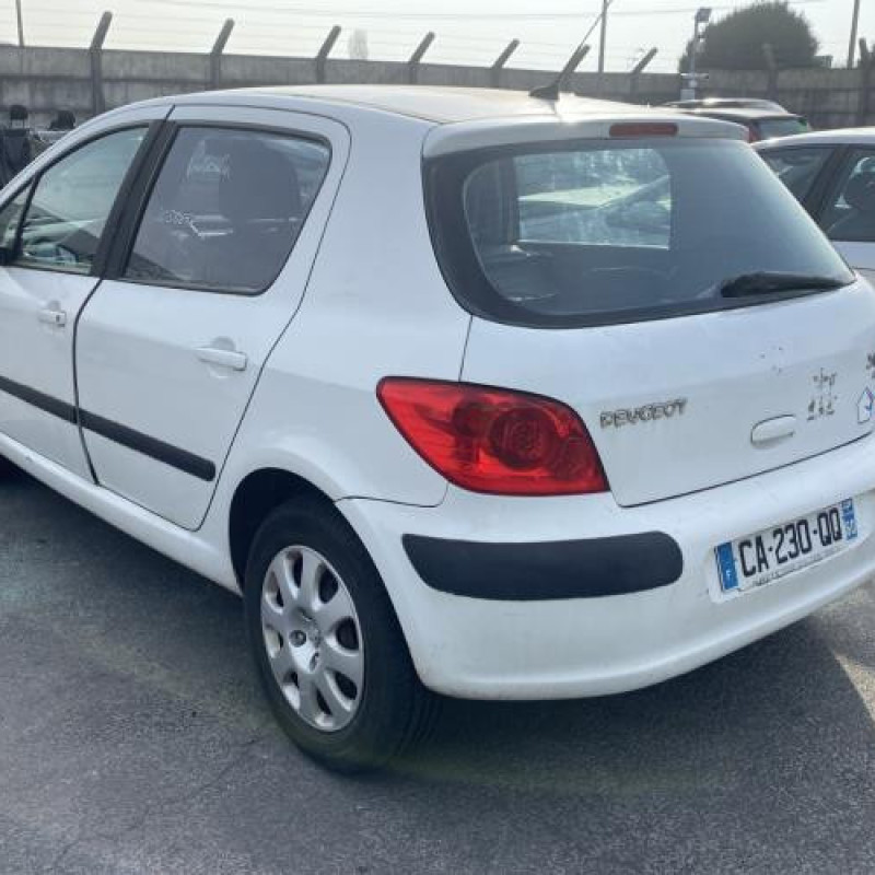 Jante PEUGEOT 307 Photo n°6