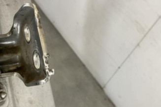 Porte arriere droit DACIA LOGAN 1