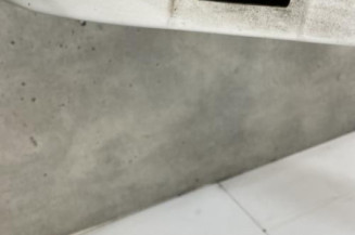Porte arriere droit DACIA LOGAN 1
