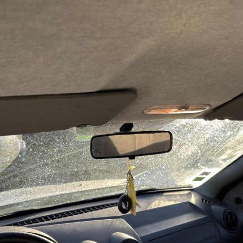 Porte arriere droit DACIA LOGAN 1 Photo n°20