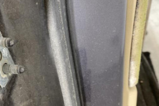 Porte arriere droit BMW SERIE 3 E90