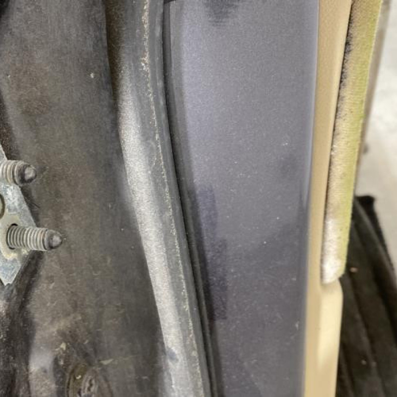Porte arriere droit BMW SERIE 3 E90 Photo n°4