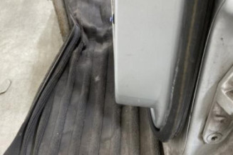 Porte arriere gauche MERCEDES CLASSE A 169