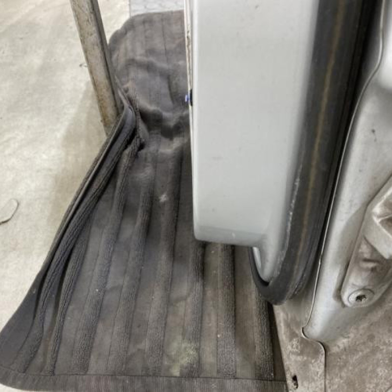 Porte arriere gauche MERCEDES CLASSE A 169 Photo n°4