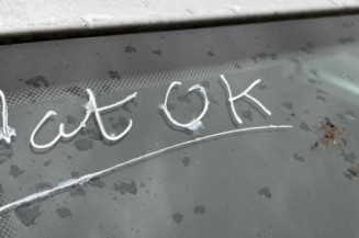 Porte avant gauche VOLKSWAGEN GOLF 4