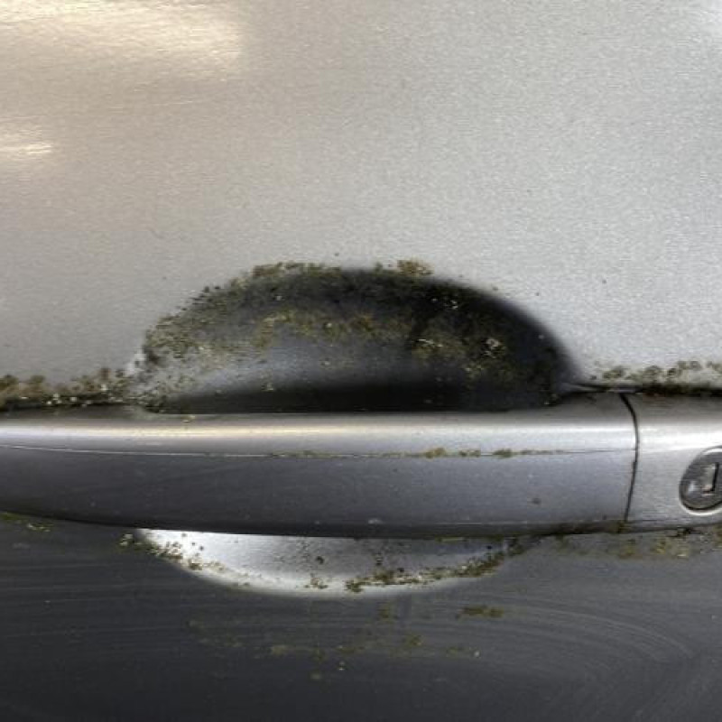Porte avant gauche PEUGEOT 307 Photo n°3