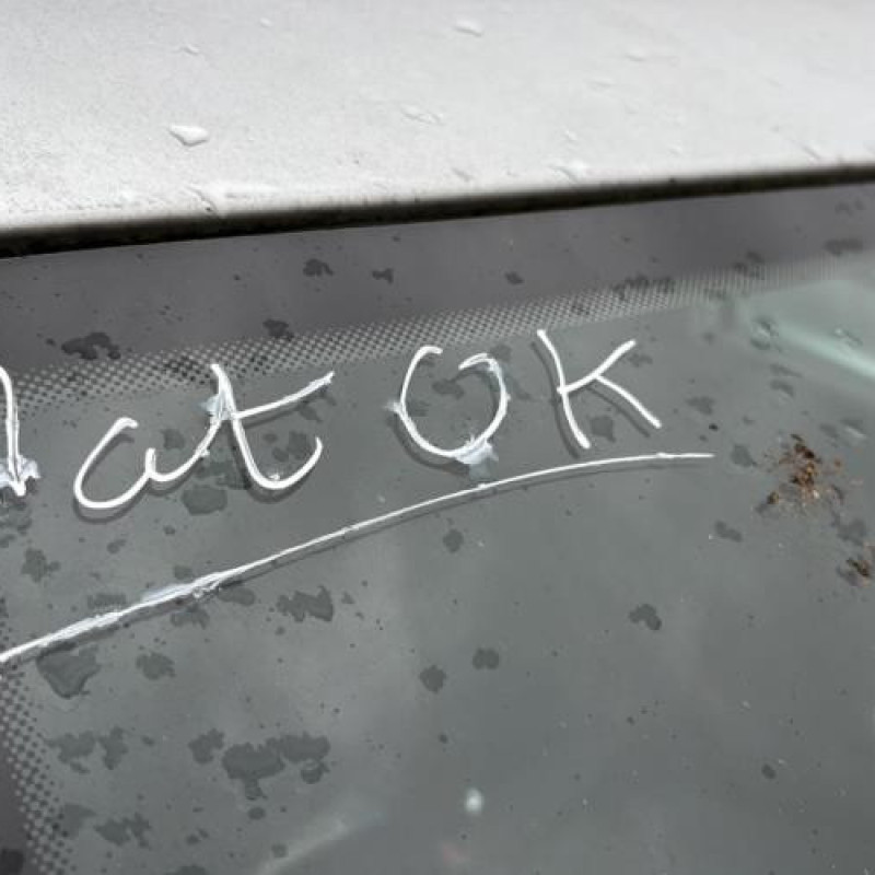 Vitre arriere droit VOLKSWAGEN GOLF 4 Photo n°18