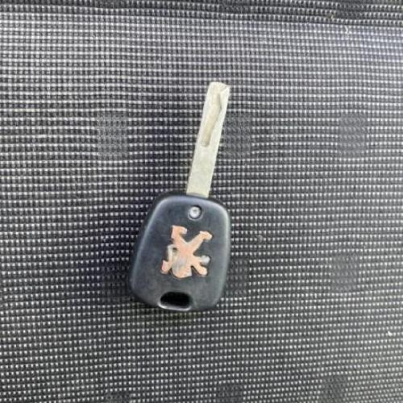 Poignee porte arriere gauche PEUGEOT 307 Photo n°20