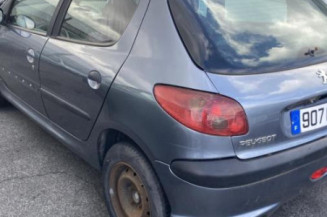 Vitre arriere droit PEUGEOT 206