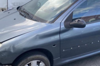 Vitre arriere droit PEUGEOT 206