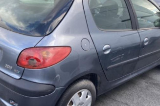 Vitre arriere droit PEUGEOT 206