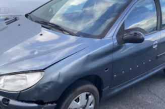 Vitre arriere droit PEUGEOT 206